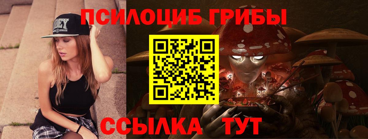 Североуральск  Галлюциногенные грибы Cubensis  Вход с VPN 